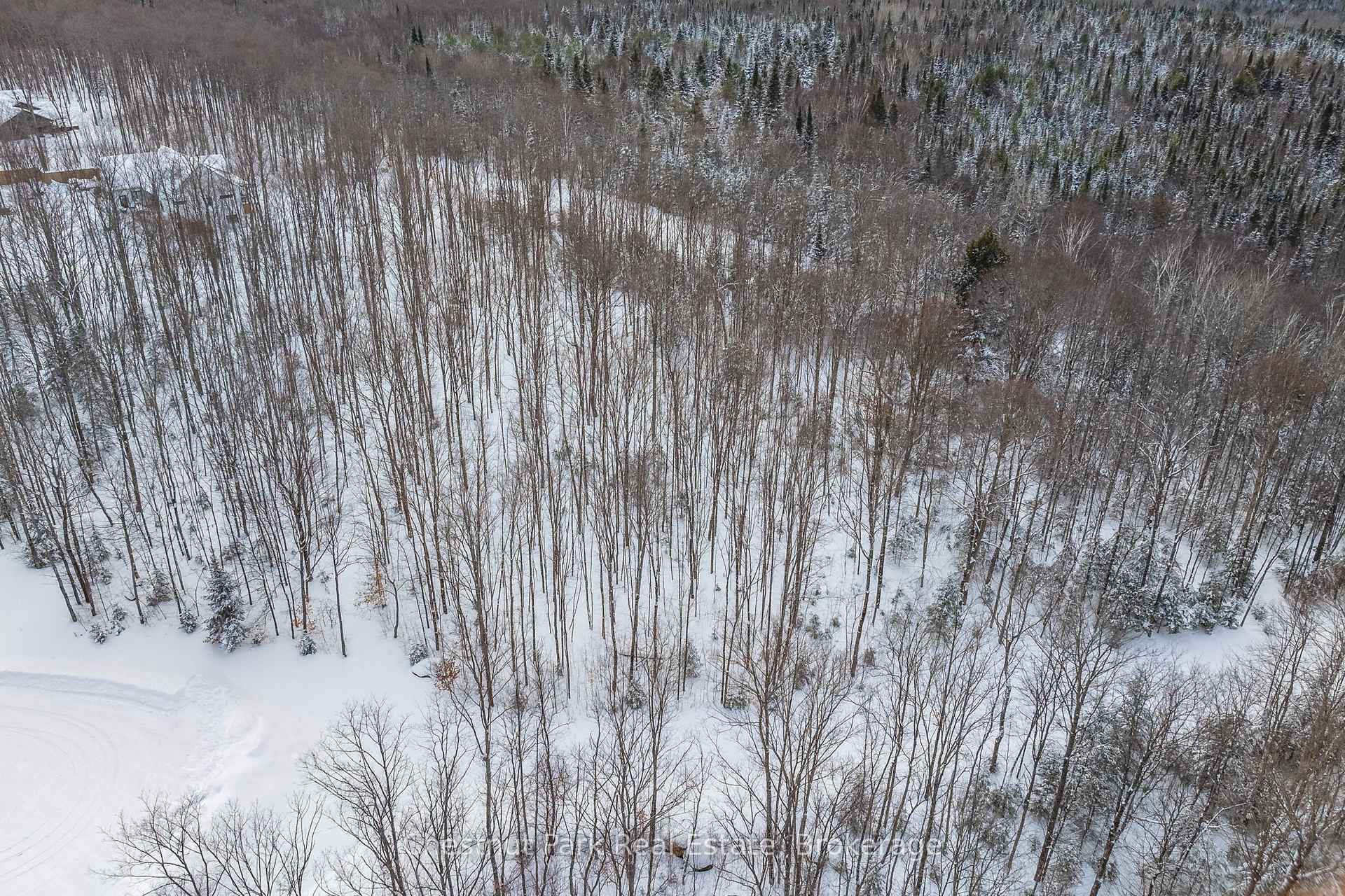 Photo 11 of LOT 7 Millie'S Way, Armour — HOMEH