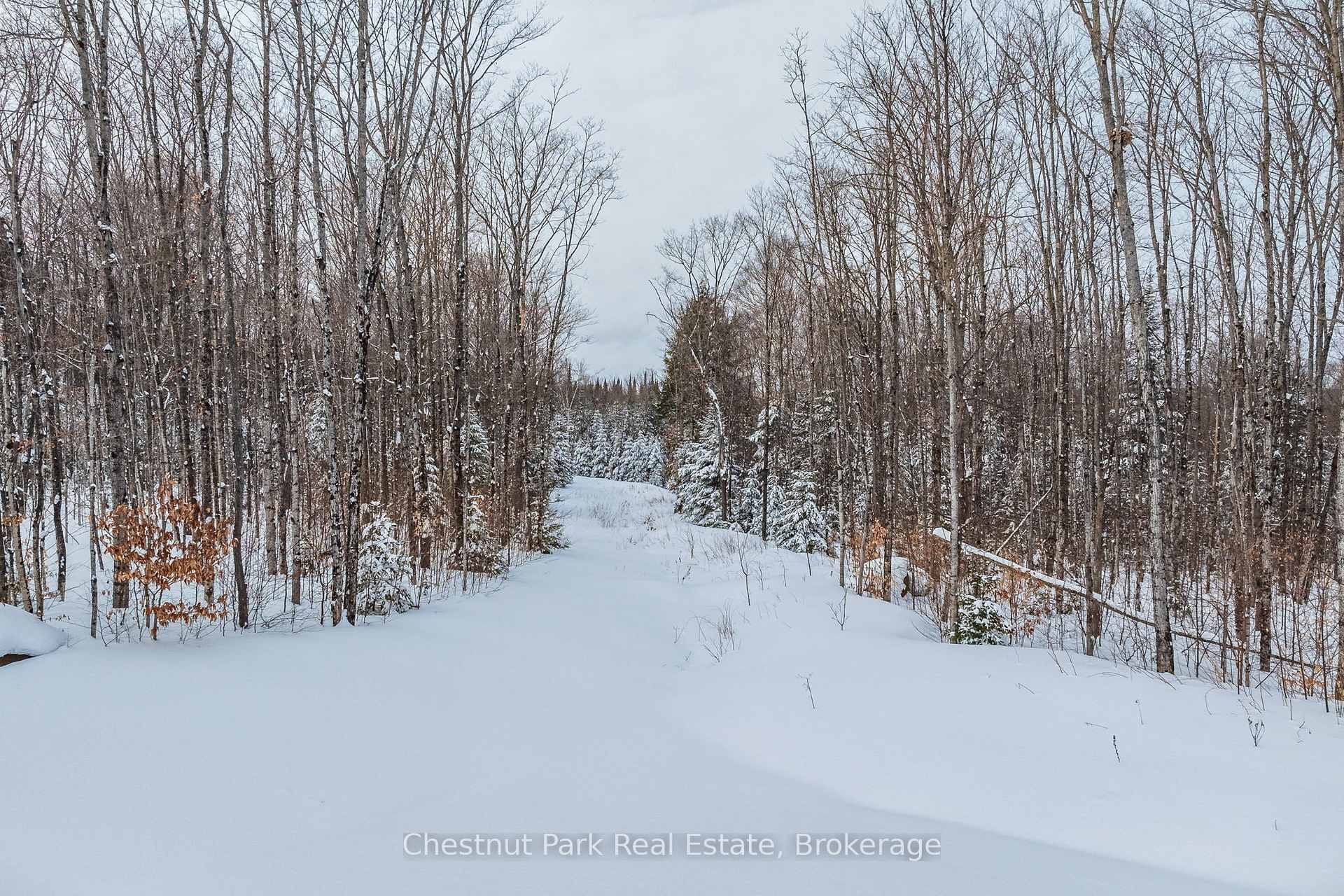 Photo 12 of LOT 7 Millie'S Way, Armour — HOMEH