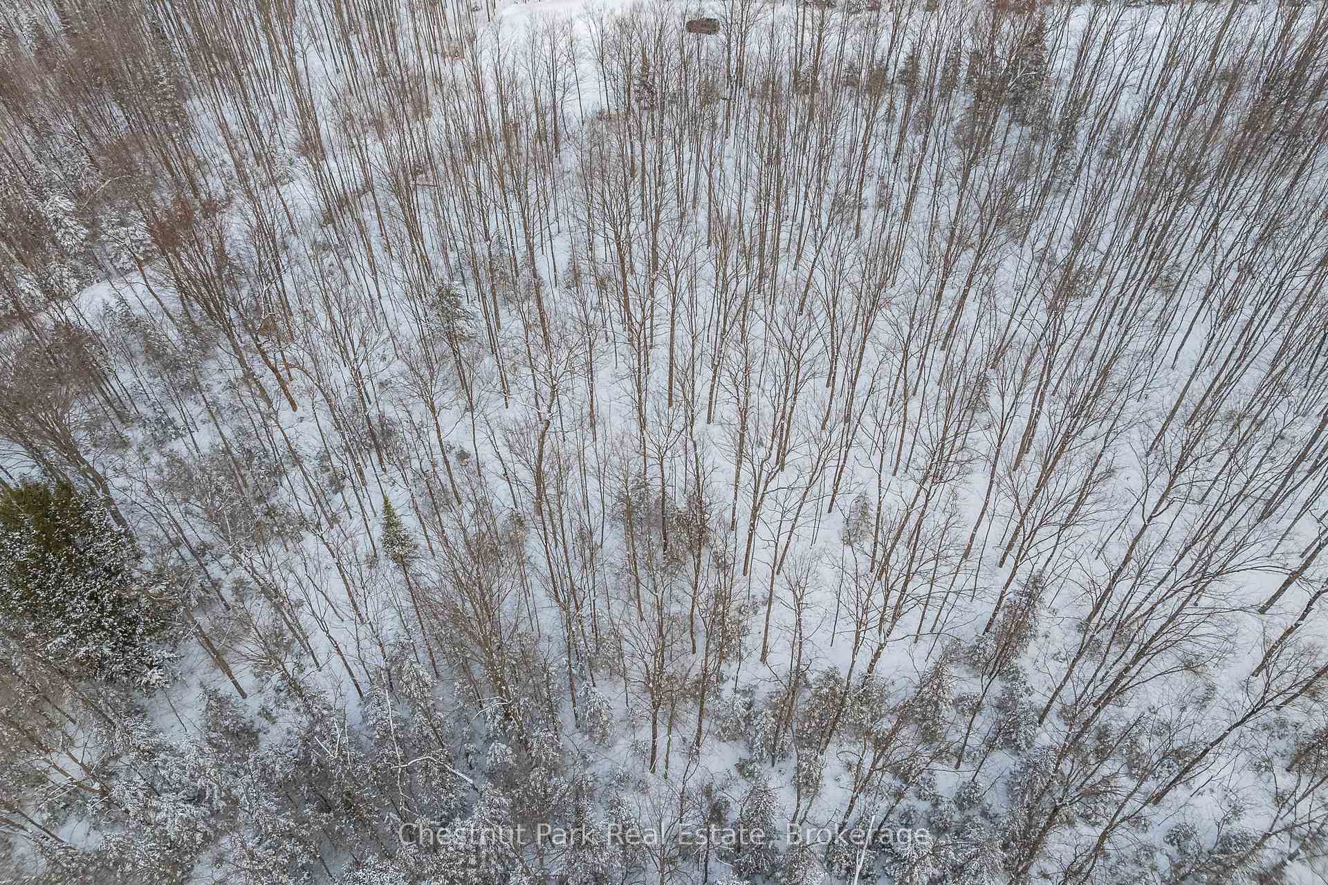 Photo 15 of LOT 7 Millie'S Way, Armour — HOMEH