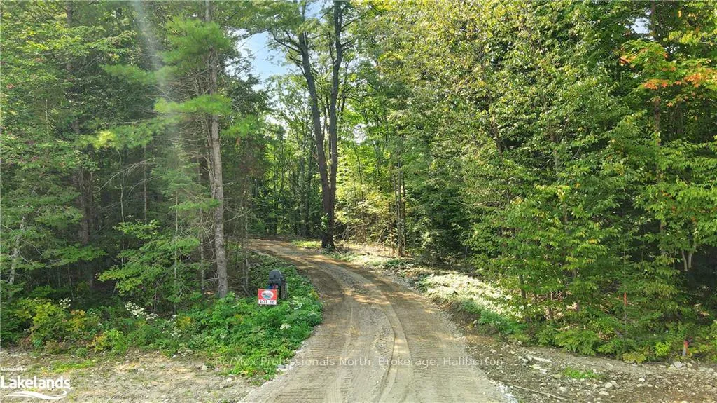Photo of LOT 10