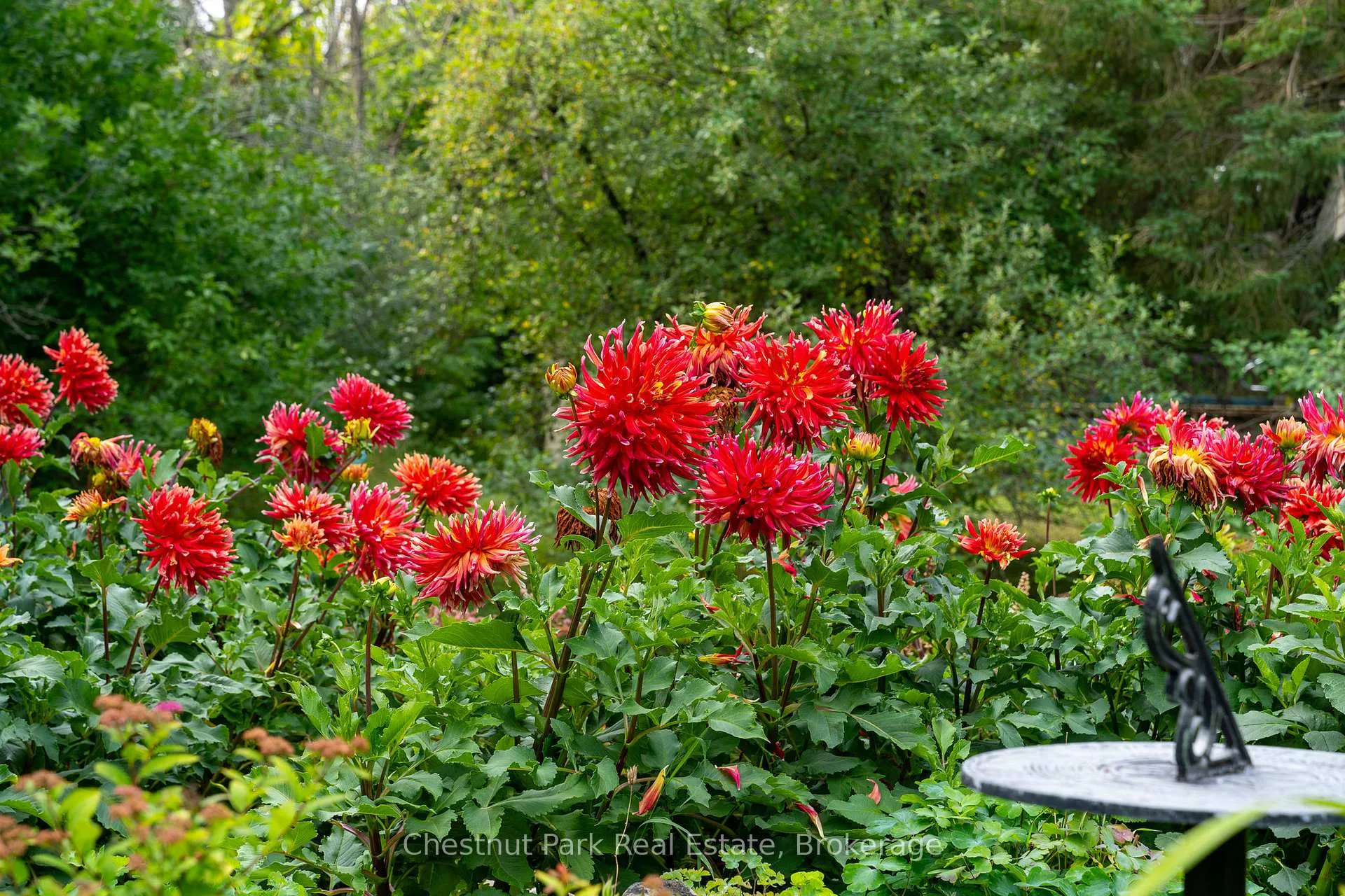 Photo 33 of 119 Martin Grove, Blue Mountains — HOMEH