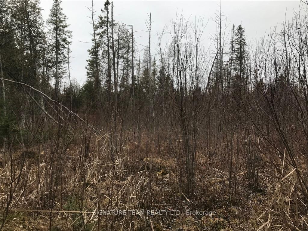 Photo 6 of LT 21 Corrigan Road, Bonnechere Valley, Eganville/Bonnechere Twp — HOMEH