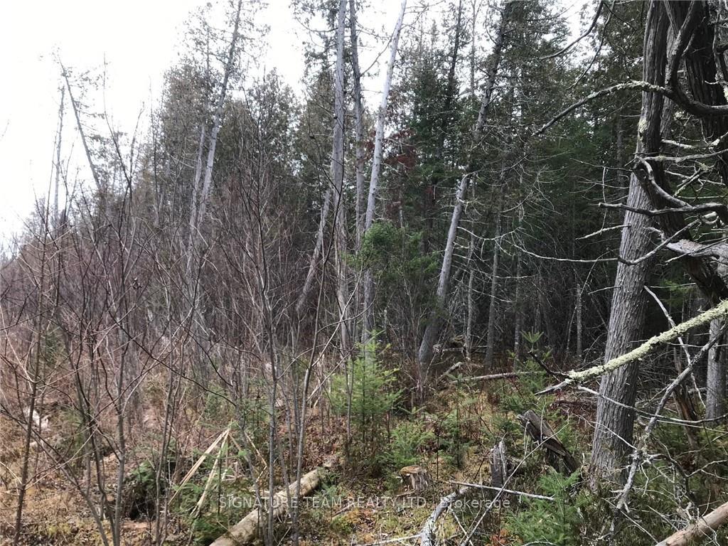 Photo 4 of LT 21 Corrigan Road, Bonnechere Valley, Eganville/Bonnechere Twp — HOMEH