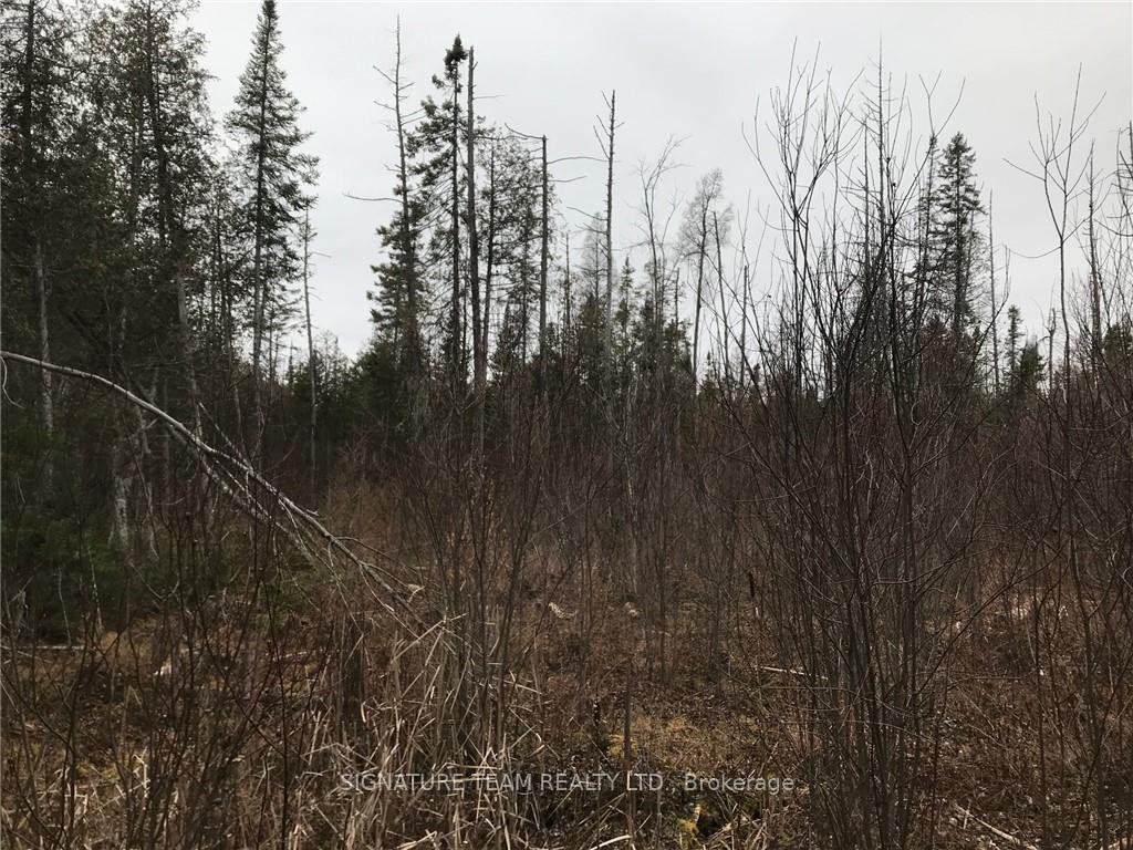 Photo 8 of LT 21 Corrigan Road, Bonnechere Valley, Eganville/Bonnechere Twp — HOMEH