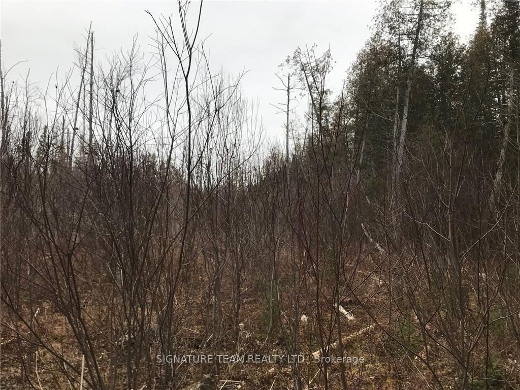 Photo 10 of LT 21 Corrigan Road, Bonnechere Valley, Eganville/Bonnechere Twp — HOMEH