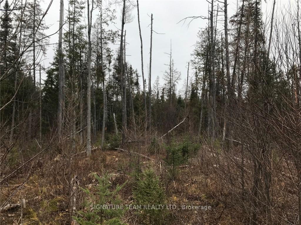 Photo 12 of LT 21 Corrigan Road, Bonnechere Valley, Eganville/Bonnechere Twp — HOMEH