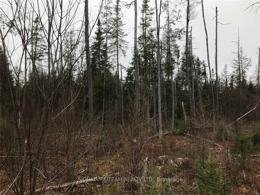 Photo 11 of LT 21 Corrigan Road, Bonnechere Valley, Eganville/Bonnechere Twp — HOMEH
