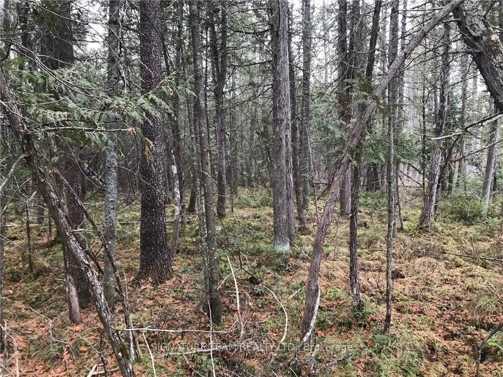 Photo 9 of LT 21 Corrigan Road, Bonnechere Valley, Eganville/Bonnechere Twp — HOMEH