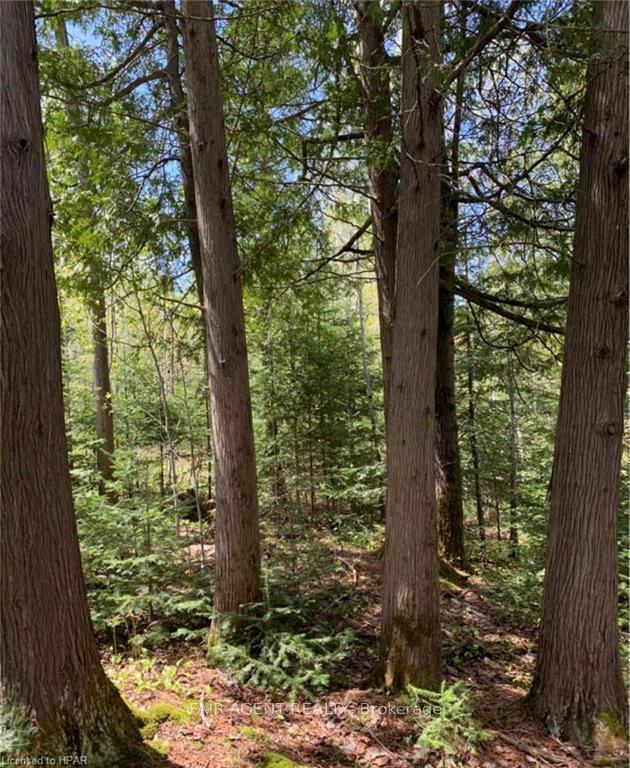 Photo 10 of 107 Mcdonald Road, West Nipissing, Verner — HOMEH