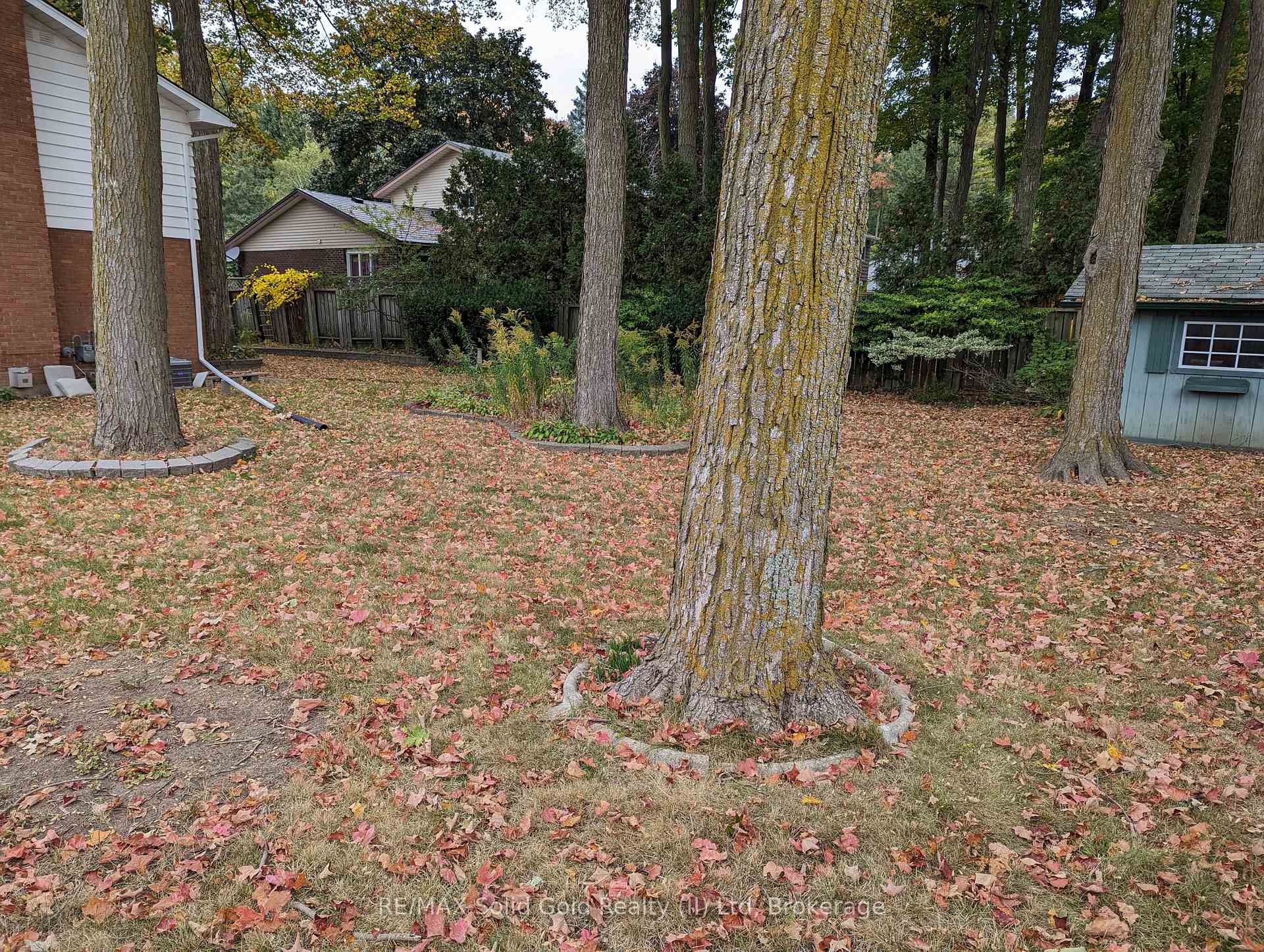 Photo 14 of 462+464 Hazel Street, Waterloo — HOMEH
