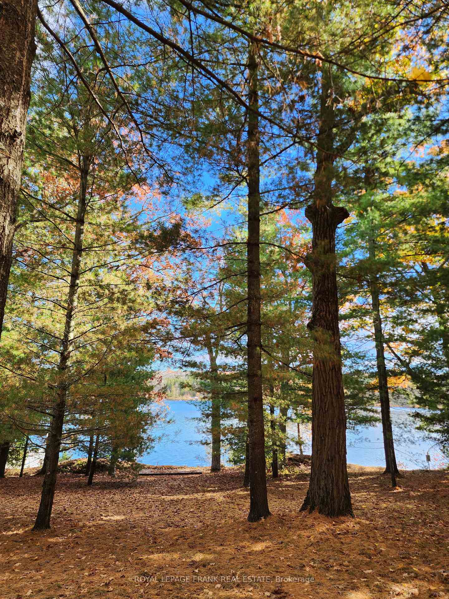 Photo 28 of 2A White Island, Alnwick/Haldimand, Rural Alnwick/Haldimand — HOMEH