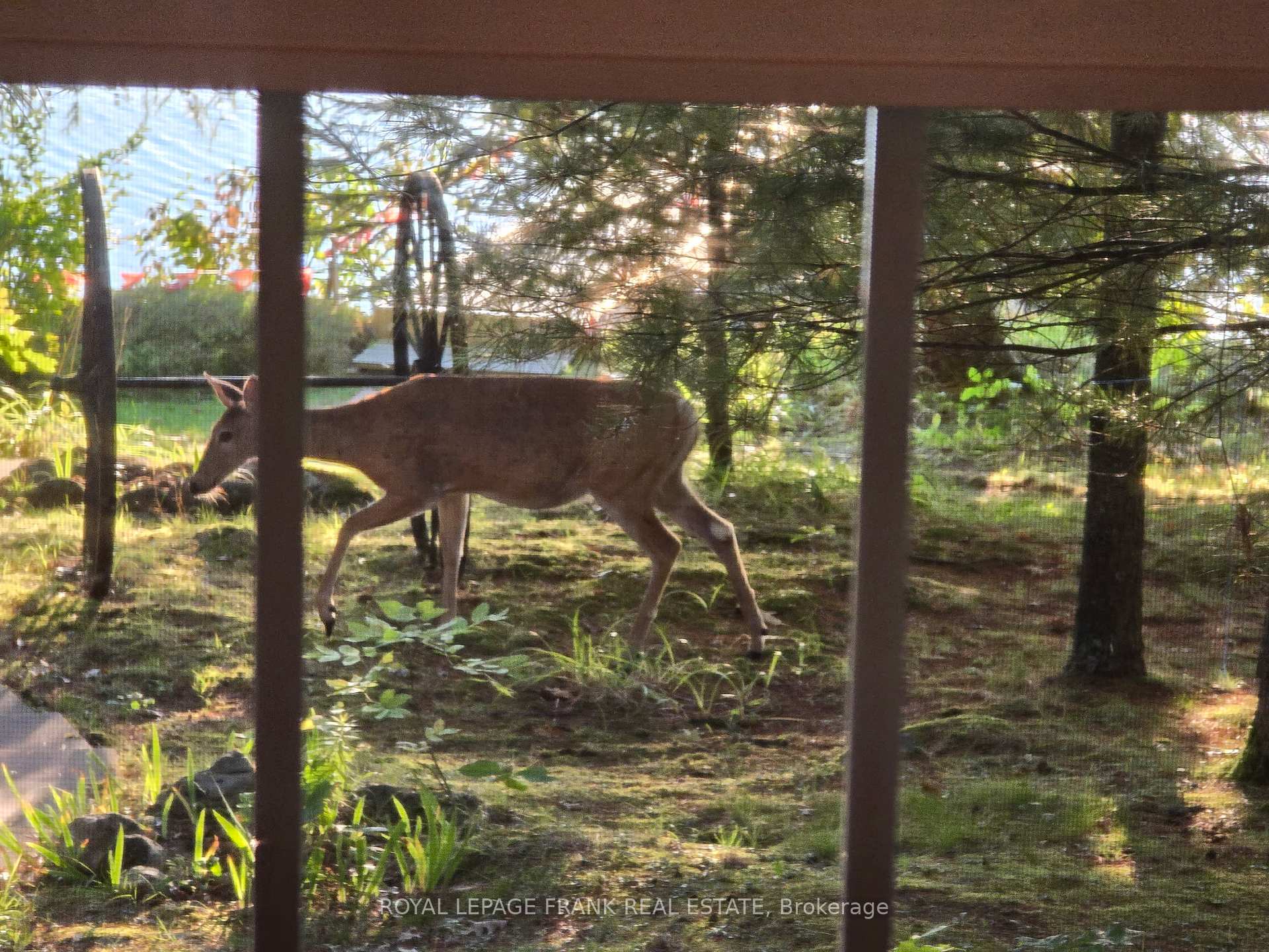 Photo 31 of 2A White Island, Alnwick/Haldimand, Rural Alnwick/Haldimand — HOMEH