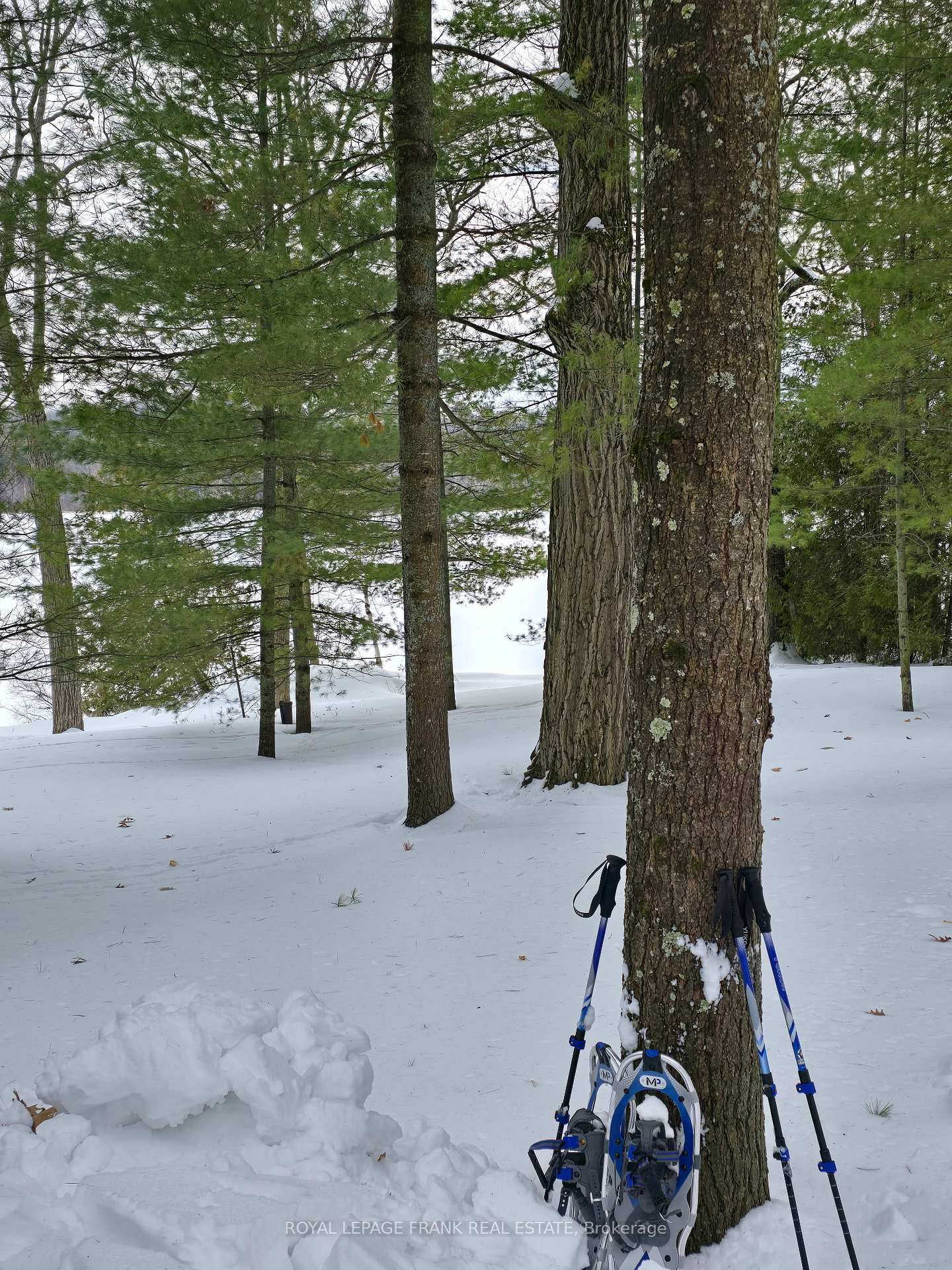 Photo 30 of 2A White Island, Alnwick/Haldimand, Rural Alnwick/Haldimand — HOMEH