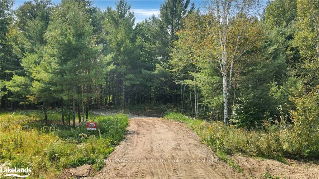 Photo of LOT 1
