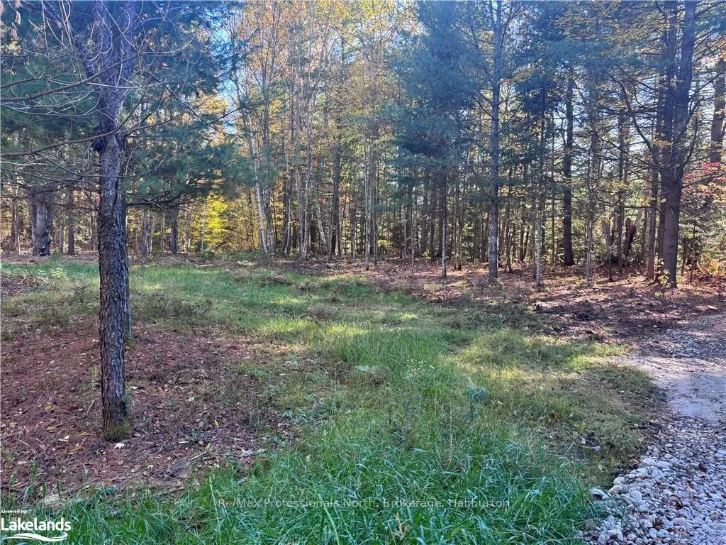 Photo 7 of LOT 1, Algonquin Highlands, Stanhope — HOMEH