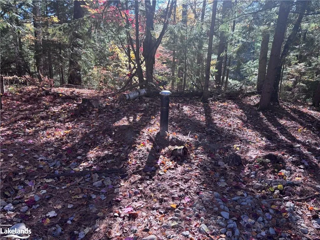 Photo 8 of LOT 1, Algonquin Highlands, Stanhope — HOMEH