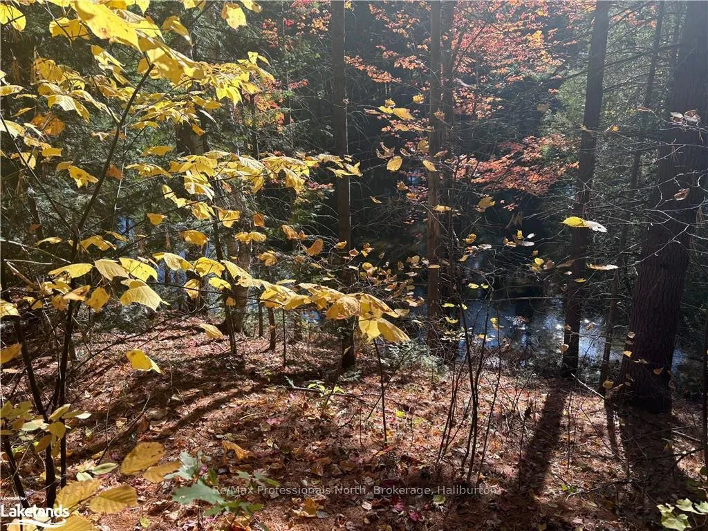 Photo 9 of LOT 1, Algonquin Highlands, Stanhope — HOMEH