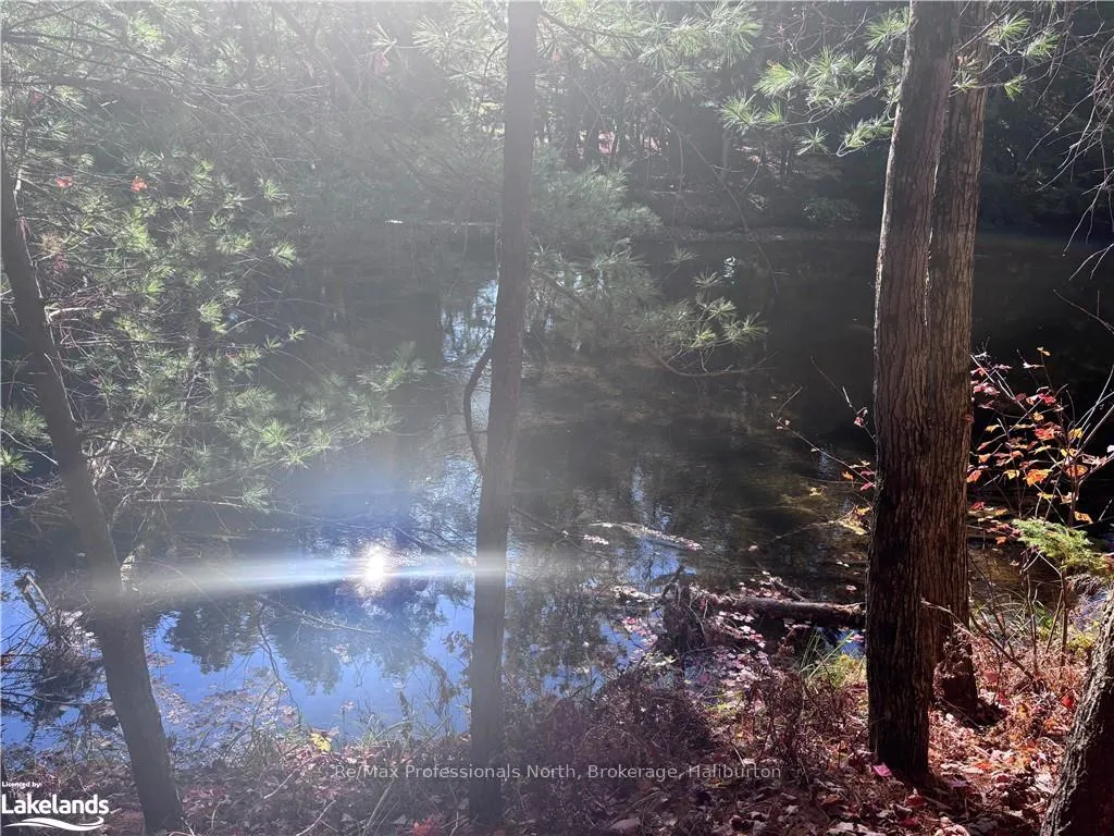 Photo 10 of LOT 1, Algonquin Highlands, Stanhope — HOMEH