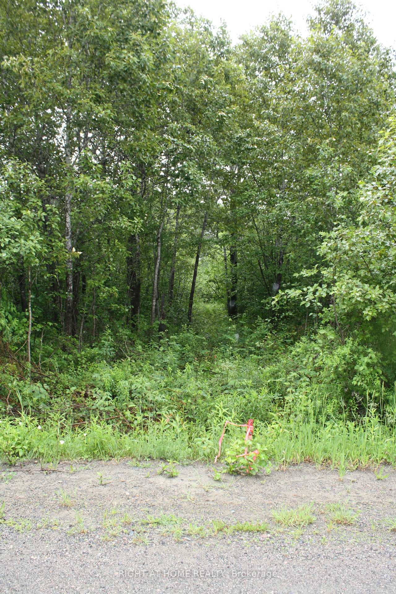 Front of 98 De La Montee Rd S