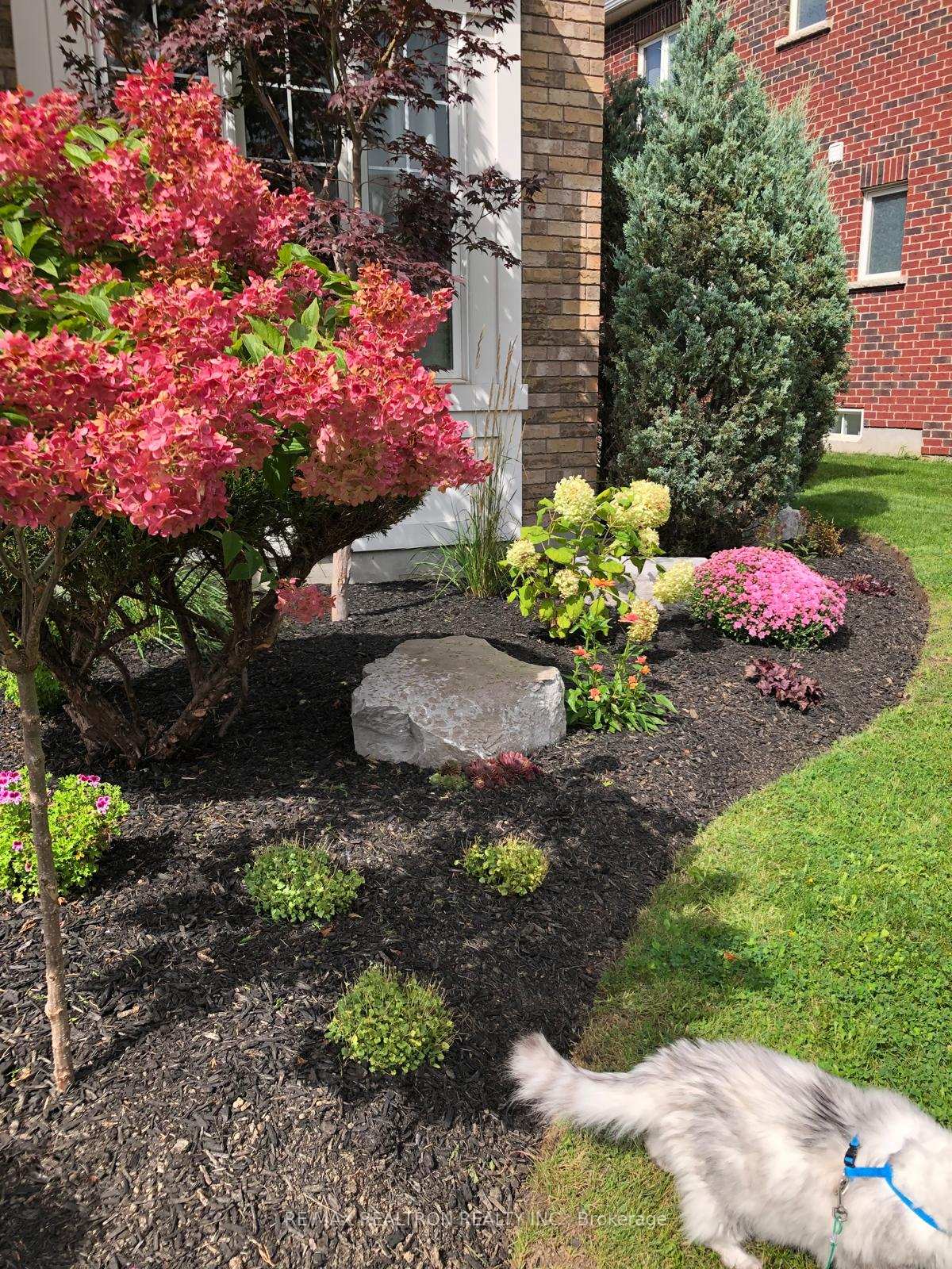 Photo 6 of 134 Dolman Street, Woolwich, Breslau — HOMEH