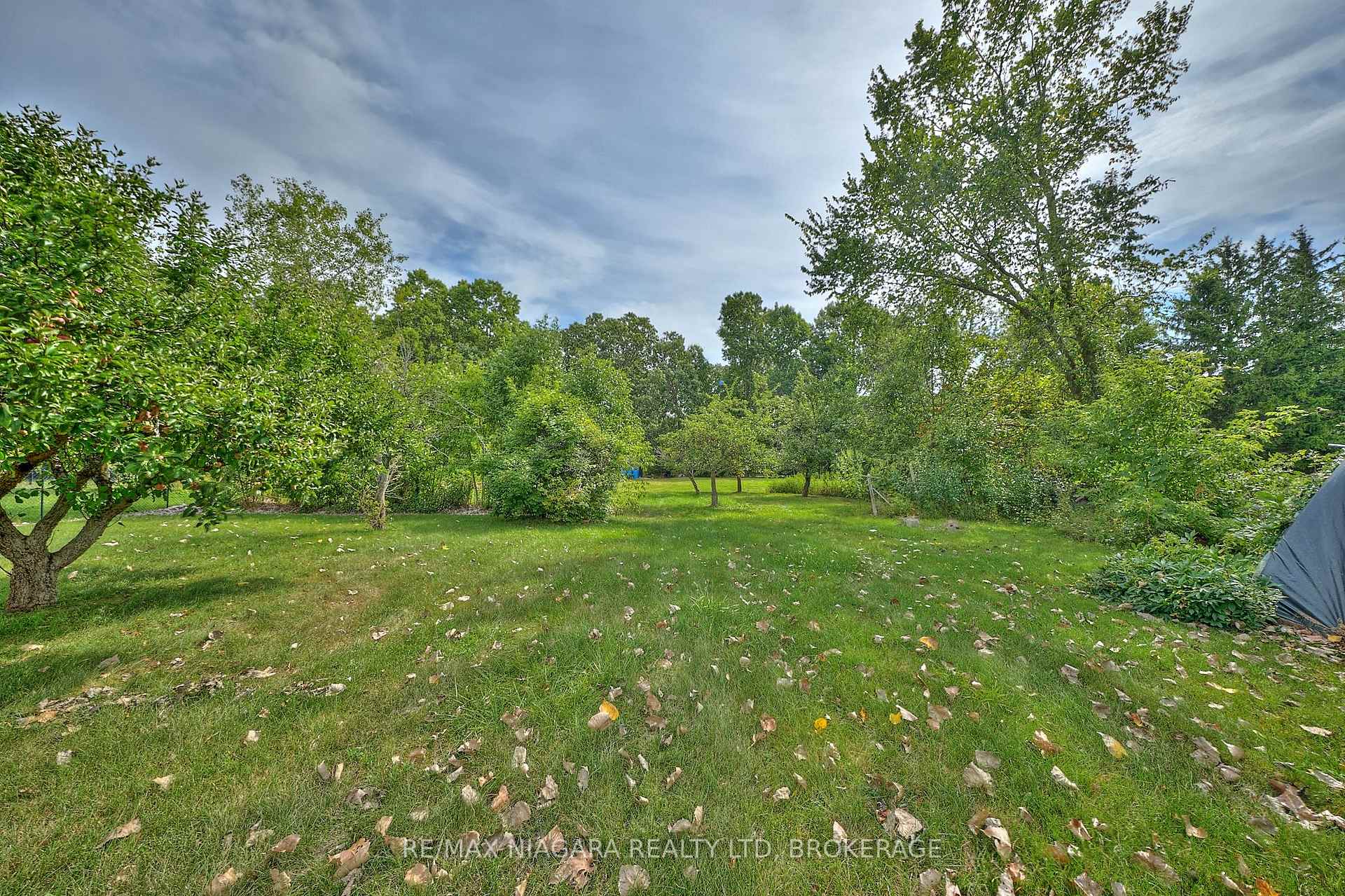 Photo 6 of 228 Doans Ridge Road, Welland, Cooks Mills — HOMEH