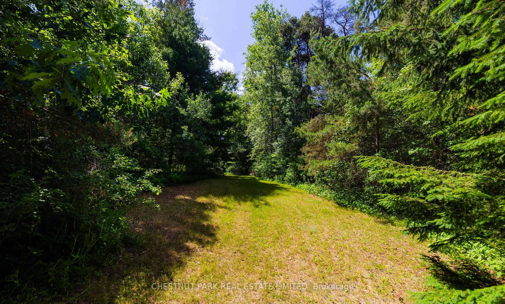 Photo 34 of 90 Ridge Road, Aurora, Aurora Estates — HOMEH