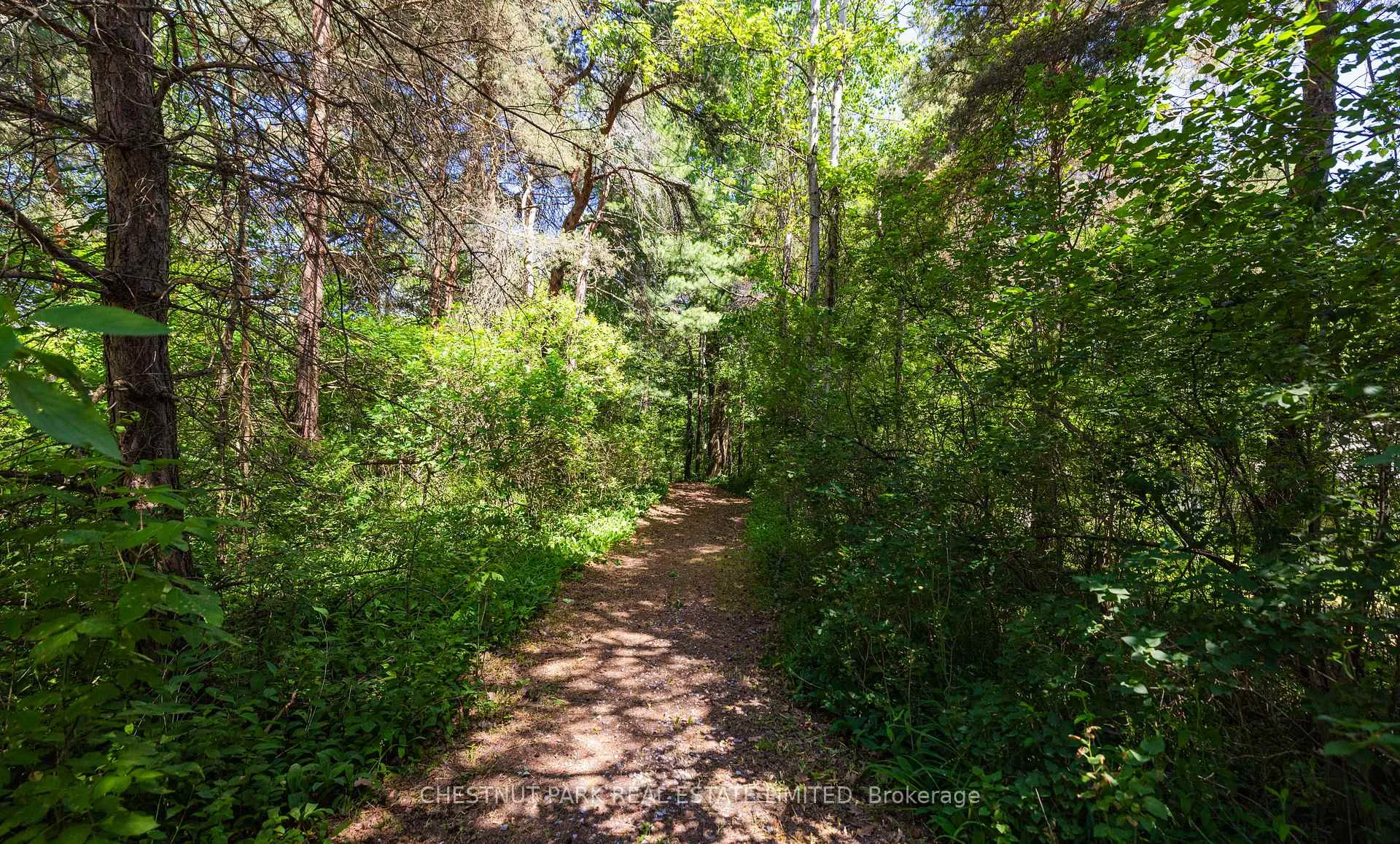Photo 39 of 90 Ridge Road, Aurora, Aurora Estates — HOMEH