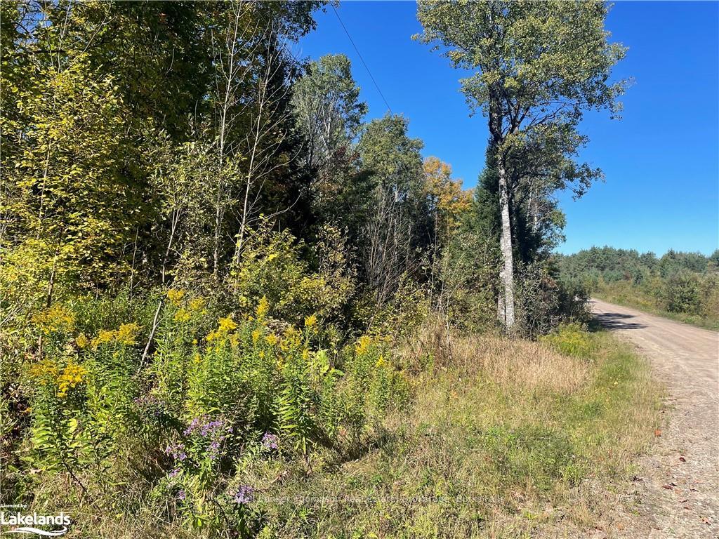 Photo 2 of Mag View Drive, Armour — HOMEH
