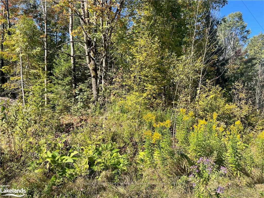 Photo 3 of Mag View Drive, Armour — HOMEH