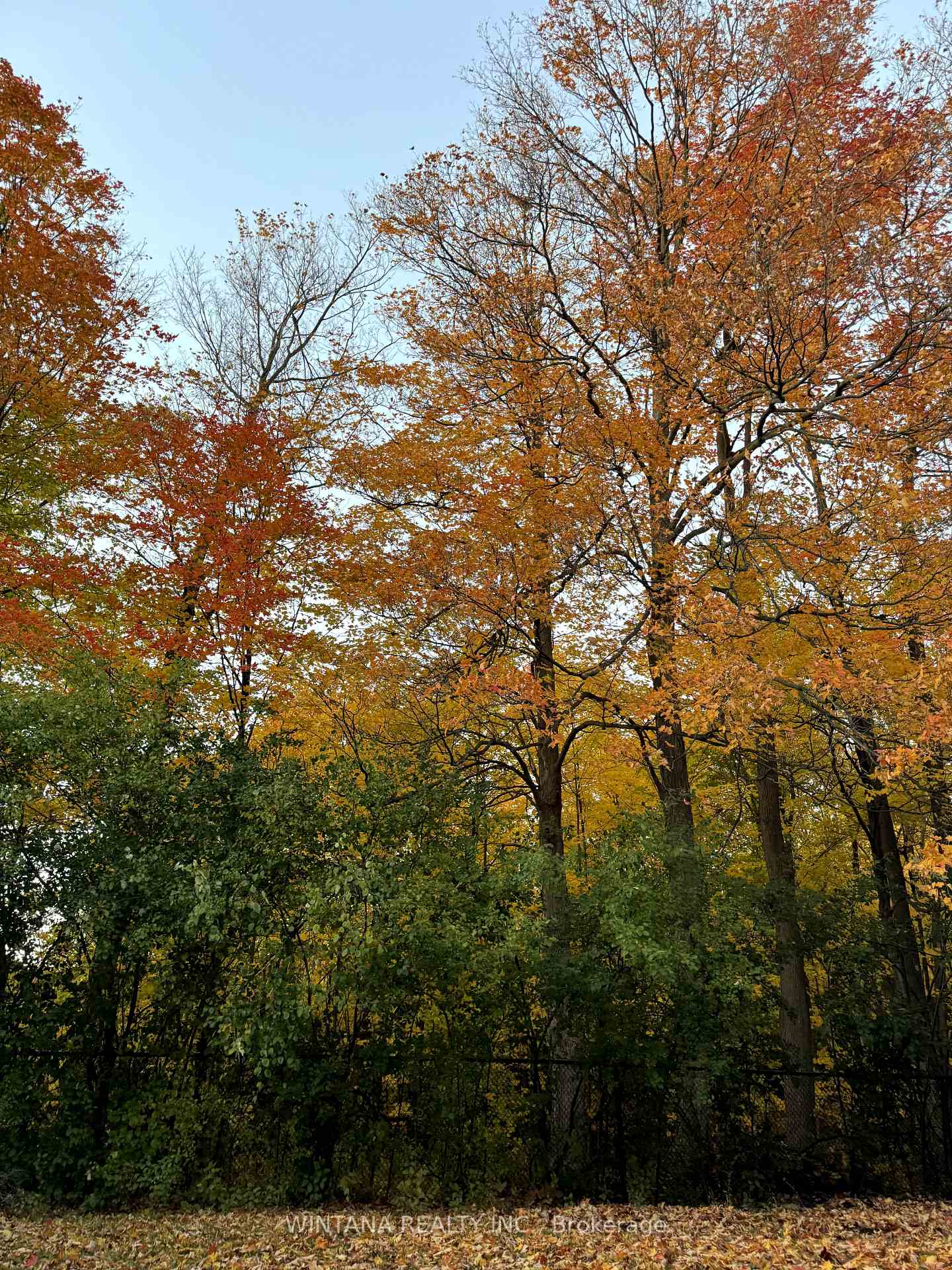 Photo 8 of 36 Matisse Trail, Vaughan, Patterson — HOMEH