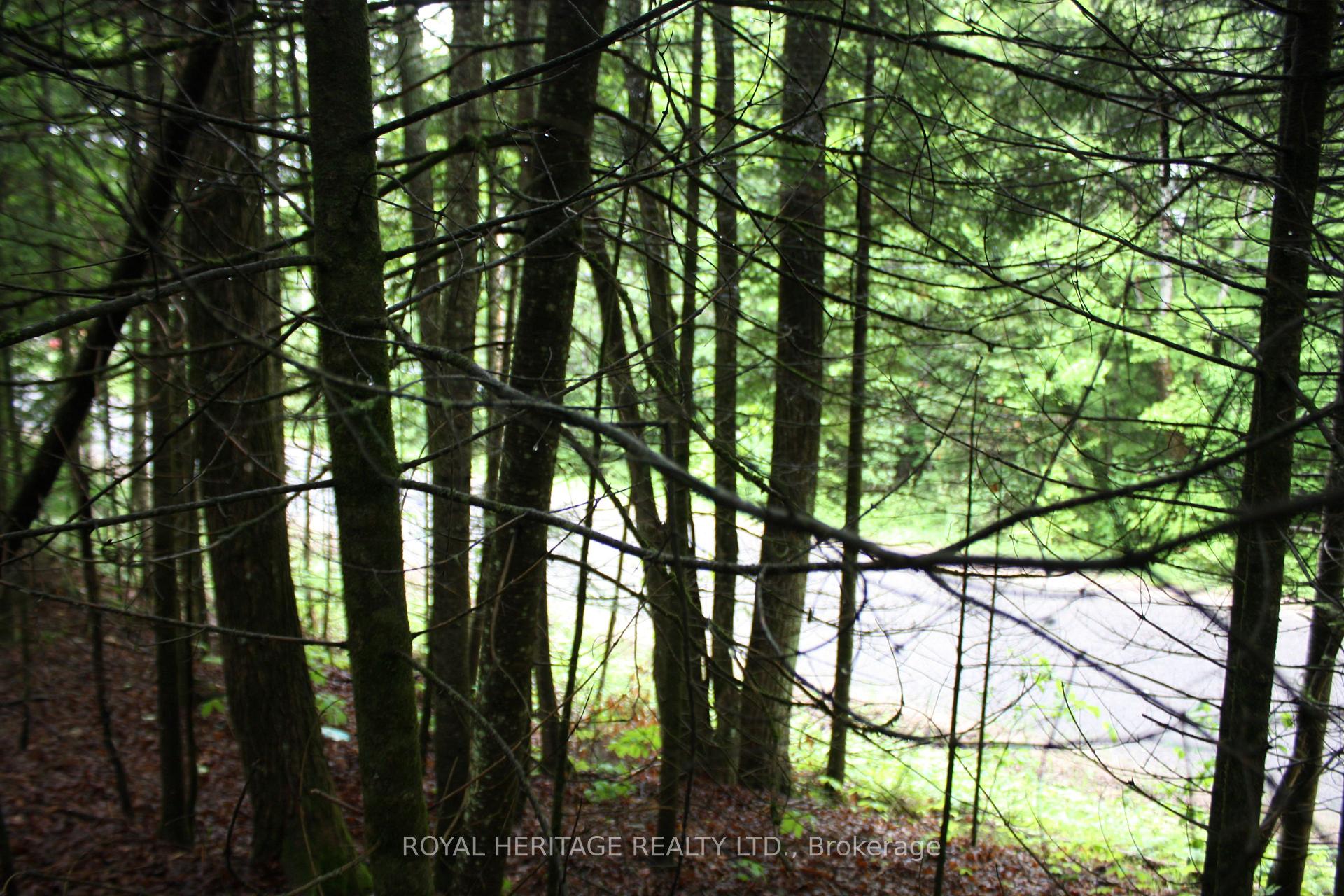 Photo 4 of Quarry Road, Bancroft, Dungannon Ward — HOMEH