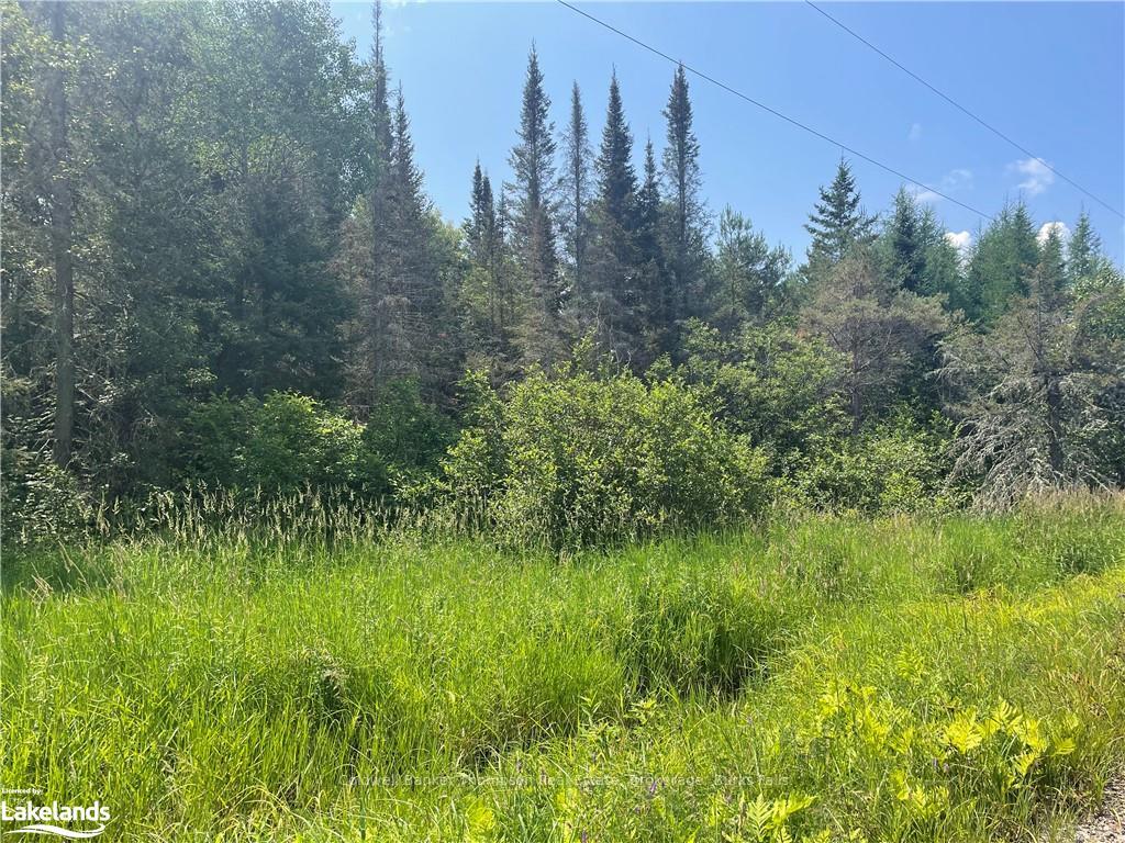 Front of Unit Part 1, 0 North Pickerel Lake Road