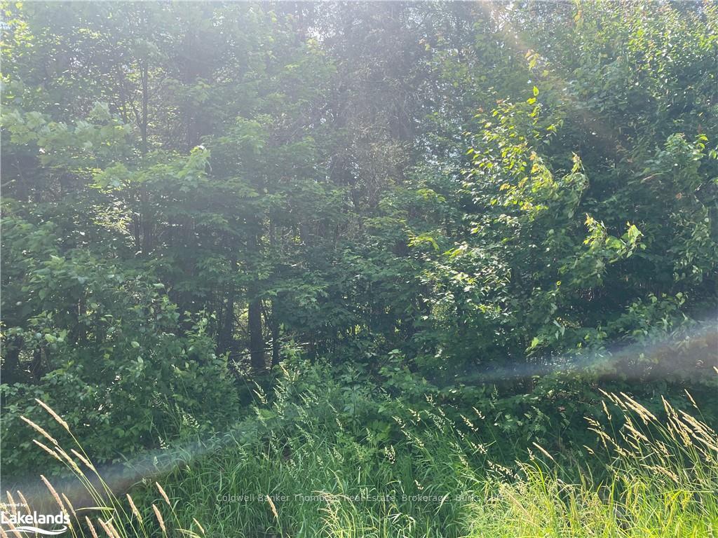 Front of Unit Part 2, 0 North Pickerel Lake Road