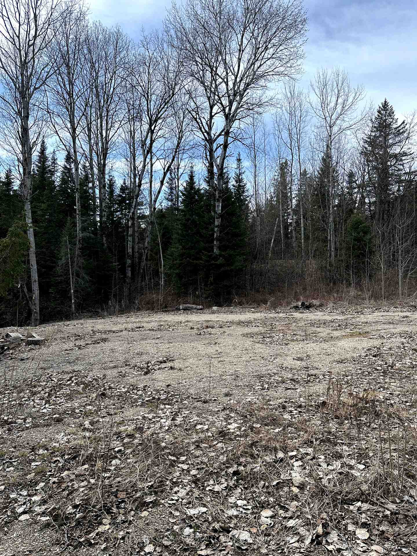 Photo 9 of 25363 Highway 62 S, Bancroft, Dungannon Ward — HOMEH