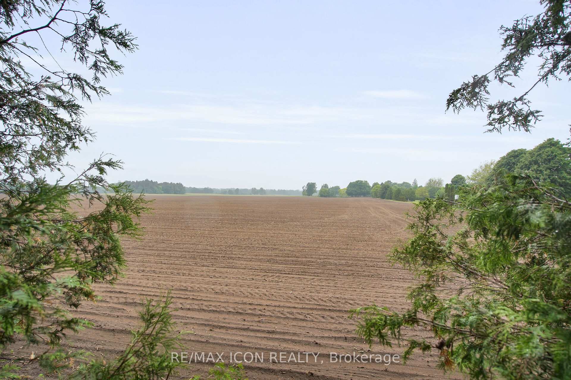Photo 35 of 8241 Sandytown Road, Bayham, Straffordville — HOMEH