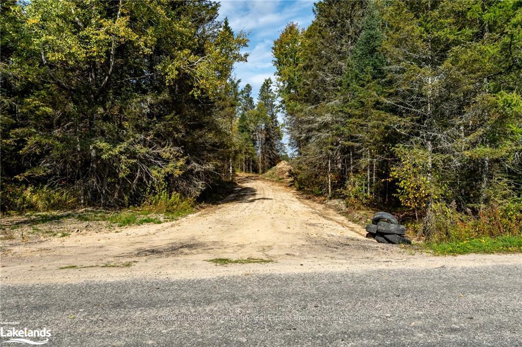 Front of LOT 2 Pickerel Lake Road