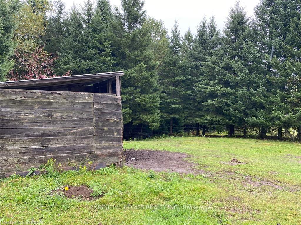 Photo 8 of 11 Bradshaw Road, Bancroft, Dungannon Ward — HOMEH