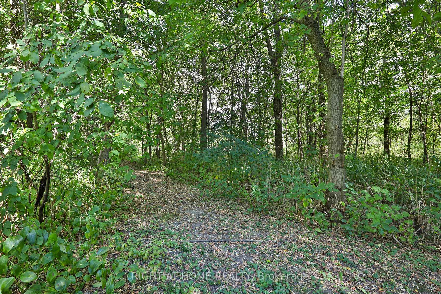 Photo 16 of 6661 Major Mackenzie Drive E, Markham, Greensborough — HOMEH