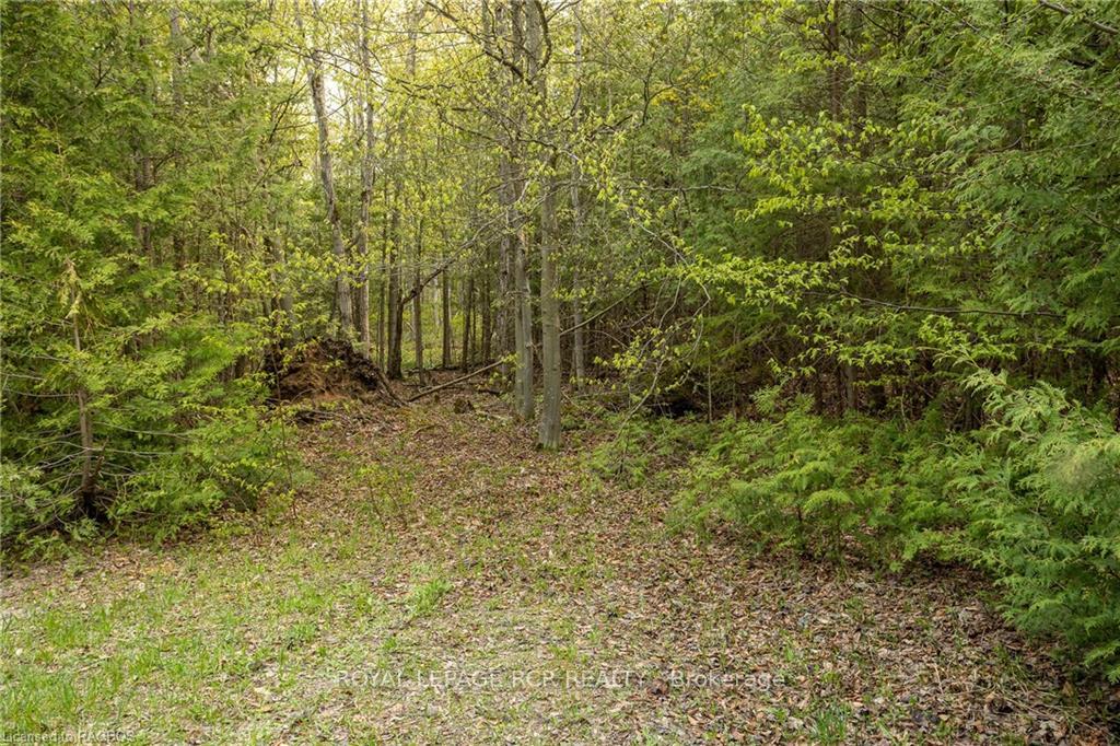 Photo 6 of PTLT 21 Sideroad 40, West Grey — HOMEH