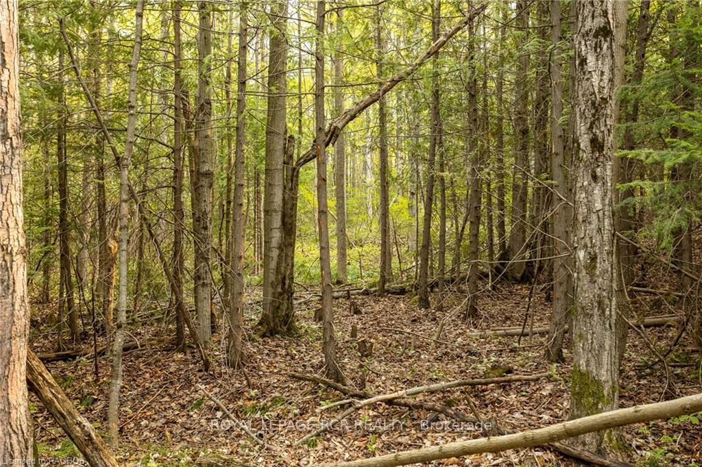 Photo 8 of PTLT 21 Sideroad 40, West Grey — HOMEH