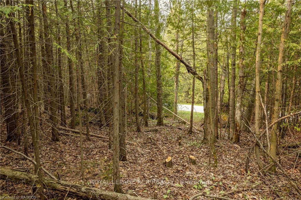 Photo 9 of PTLT 21 Sideroad 40, West Grey — HOMEH