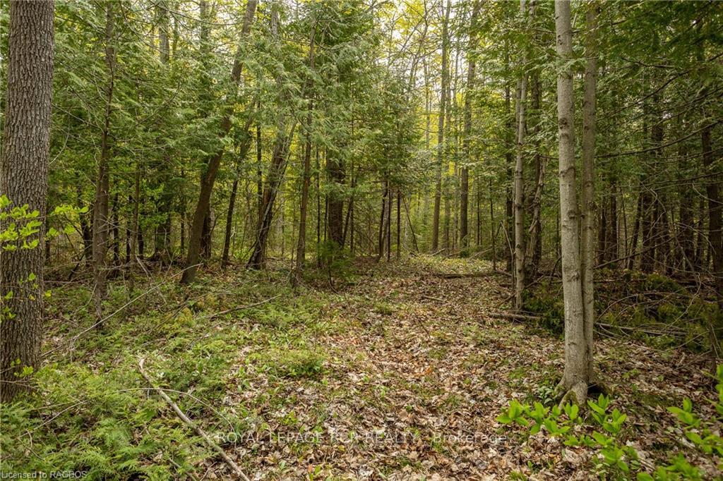 Photo 10 of PTLT 21 Sideroad 40, West Grey — HOMEH