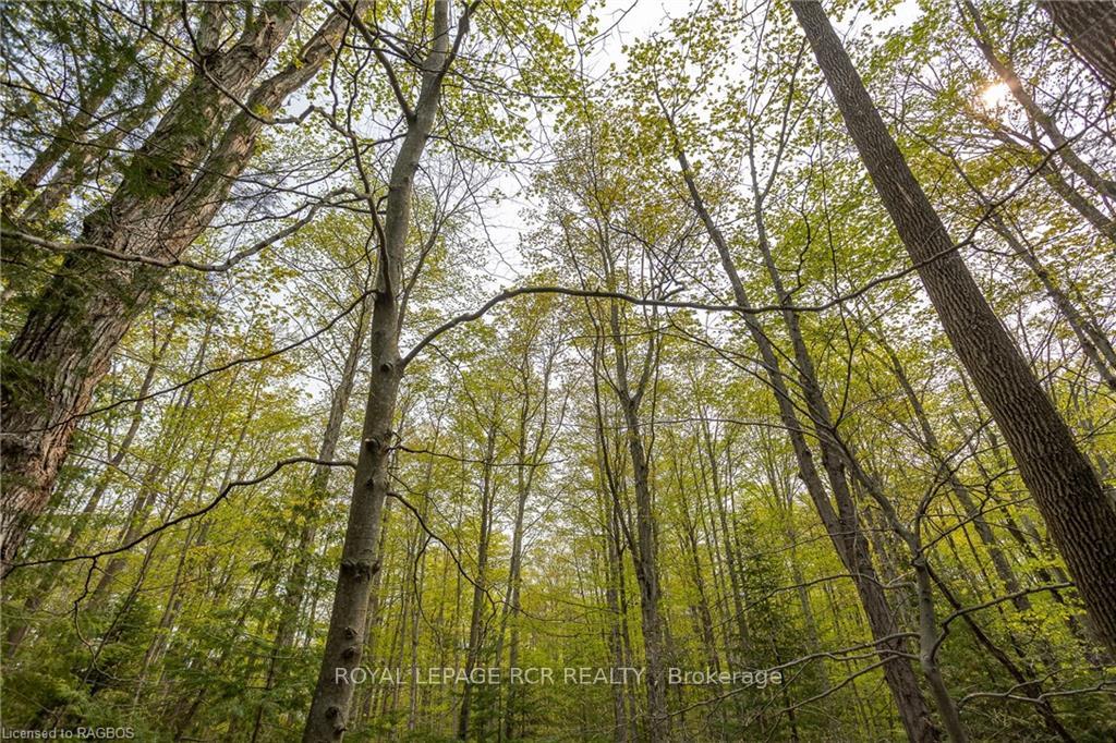 Photo 11 of PTLT 21 Sideroad 40, West Grey — HOMEH