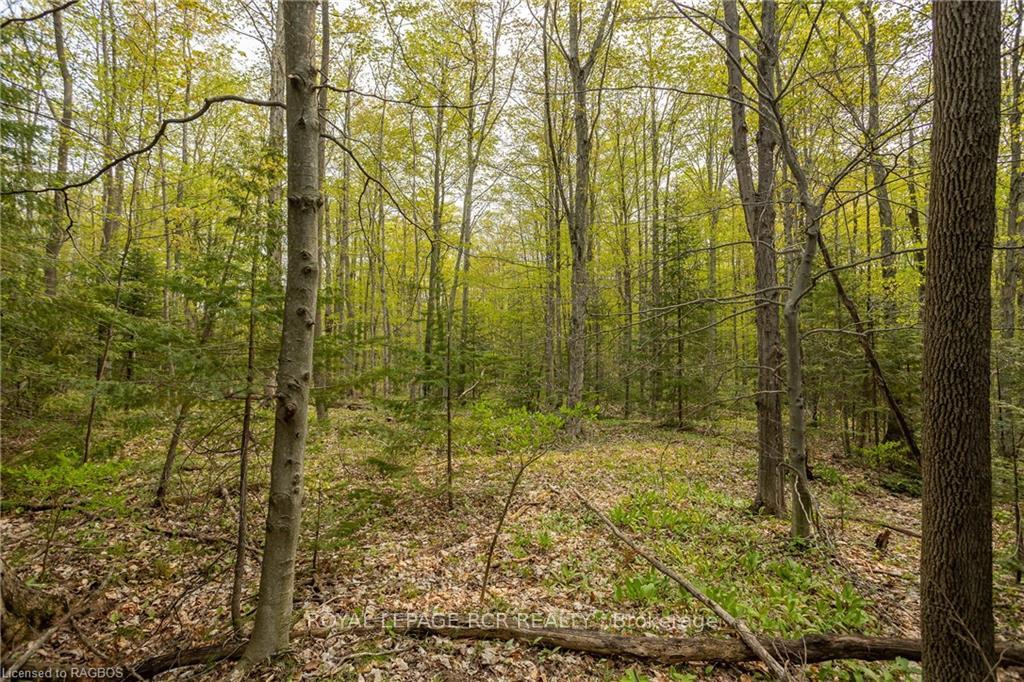Photo 12 of PTLT 21 Sideroad 40, West Grey — HOMEH