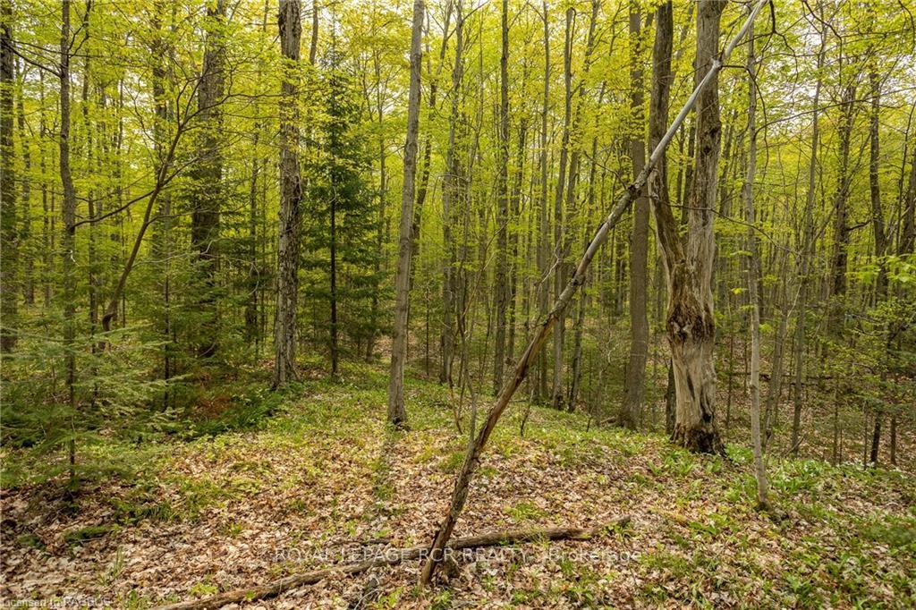 Photo 13 of PTLT 21 Sideroad 40, West Grey — HOMEH