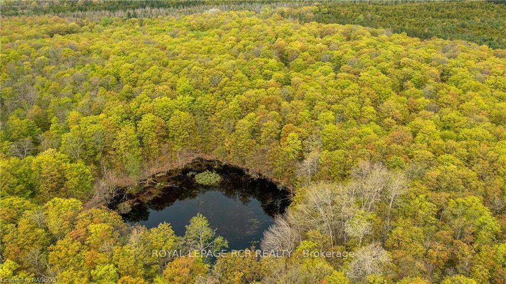 Photo 17 of PTLT 21 Sideroad 40, West Grey — HOMEH