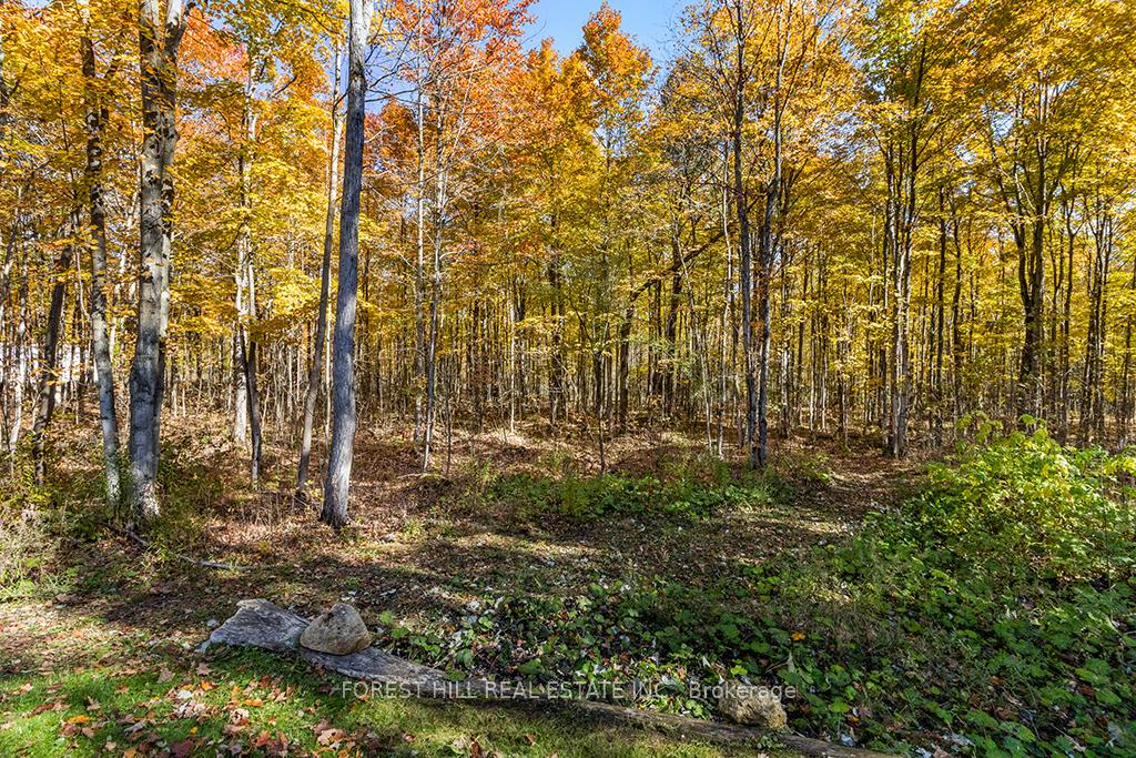 Photo 39 of 414499 Baseline, West Grey — HOMEH