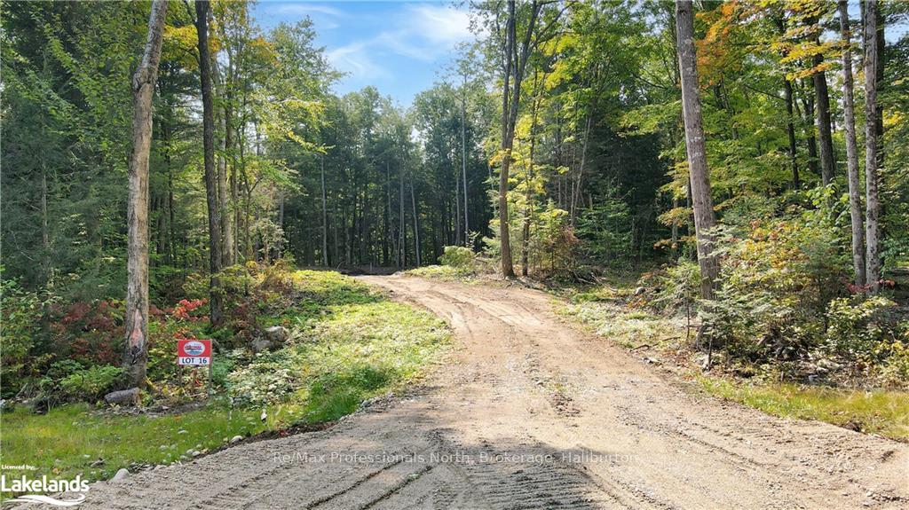 Photo 1 of LOT 16, Algonquin Highlands, Stanhope — HOMEH