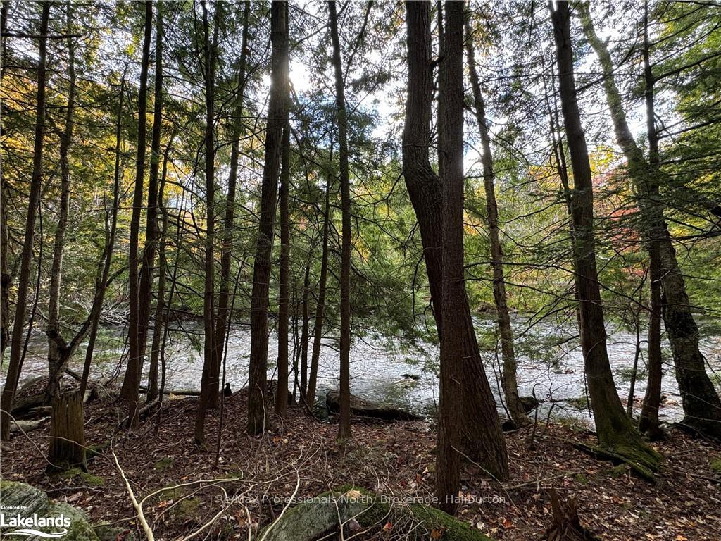 Photo 3 of LOT 16, Algonquin Highlands, Stanhope — HOMEH