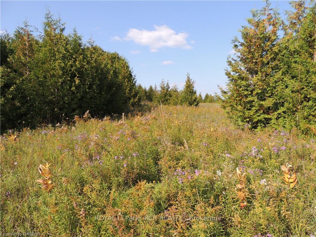 Photo 1 of 384551 Concession 4, West Grey — HOMEH